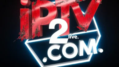 ipv (101)