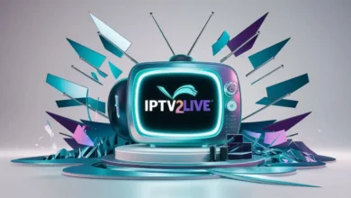ipv (103)