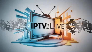 ipv (20)