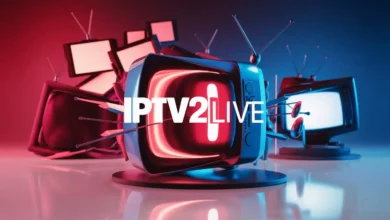 ipv (31)