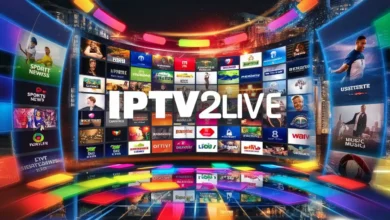 ipv (44)