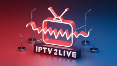 ipv (63)