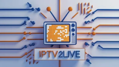 ipv (75)