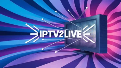 ipv (82)