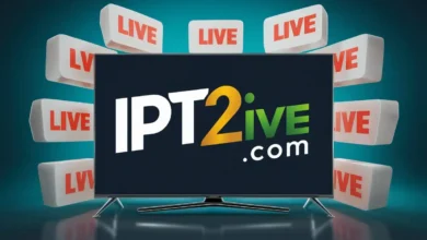 ipv (95)