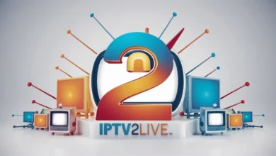 ipv (99)